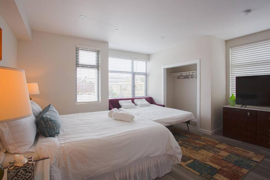 Comfy Studio With Cali King Size Mattress سان دييغو المظهر الخارجي الصورة